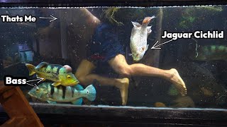 Adding Decor To My Giant Fish Tank [upl. by Tager]