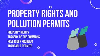 Property rights and pollution permits [upl. by Racklin]