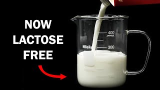 Making milk lactose free [upl. by Aivato]