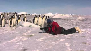 Photographer David C Schultz with penguins [upl. by Dyolf]