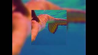 mako mermaids theme song sped up  🧜‍♀️🐠🌊☀️🏝️ [upl. by Janeen]