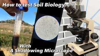 How to test your Soil Biology using a Shadowing Microscope  Part 1 [upl. by Indihar917]