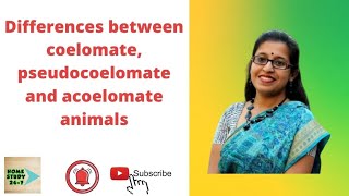 Differences between coelomate pseudocoelomate and acoelomate animalsWBCS 2019 Zoology Paper1Q1b [upl. by Olram]