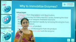 Enzyme immobilization Unit 4 Lecture 1 [upl. by Enomahs]