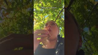 Day in the life of an taking a lunch break shorts vlog dayinthelife [upl. by Virgel]