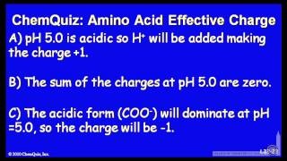 Amino Acid Effective Charge Quiz [upl. by Swen]