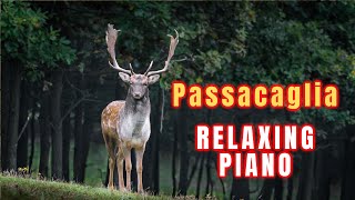 Passacaglia 1 hour version HandelHalvorsen beautiful piano music  relaxing music  sleep music [upl. by Charla]