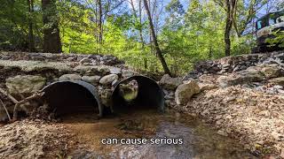 Erosion Control  What is it Why Should I Care [upl. by Buehler435]