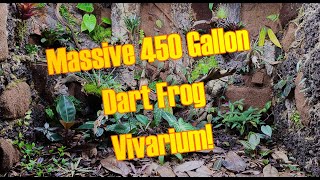 450 Gallon Poison Dart Frog Vivarium tour [upl. by Armitage]