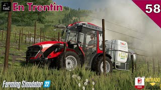 FARMING SIMULATOR 22 ⛰️ En Trentin 🌲 Trattamenti del vigneto con Carraro e botte portata ep 58 [upl. by Pippy]