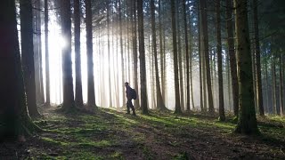 Metal detecting quotArdennes Forest SPECIALquot 25 [upl. by Natehc]