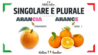 SINGOLARE e PLURALE  Easy Exercises  GRAMMAR  Italian for Beginners [upl. by Norym]