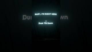 ZAYN amp Sia  Dusk till dawn  Youtube Shorts  Lyrics lyrics zayn sia shorts [upl. by Pollock392]