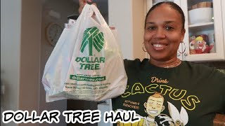 DOLLAR TREE HAUL  CRAFT ITEMS amp MORE [upl. by Vadnee405]