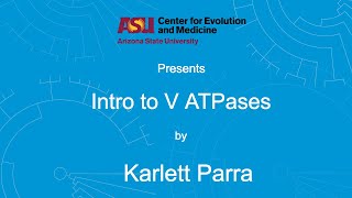 Intro to V ATPases  Karlett Parra [upl. by Lindner]