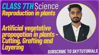 Reproduction in Plants Artificial Vegetative Propagation in plants Cutting grafting layering [upl. by Anikes]