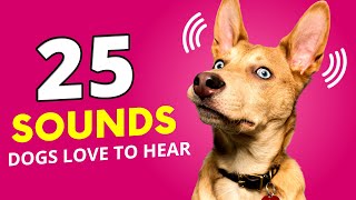 25 Sounds That Dogs Love To Hear The Most [upl. by Fabron]