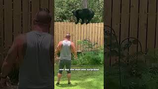 A bear family moved into the man’s home animals bear friendship shorts [upl. by Rosati]