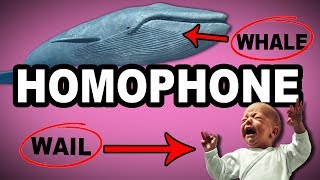 🐳😭 Learn English Words  HOMOPHONE  Meaning Vocabulary with Pictures and Examples [upl. by Zerla]