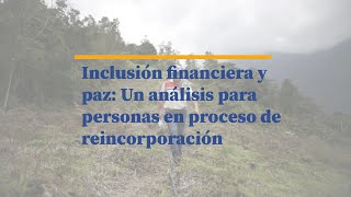 ¿Qué tanto acceden al sistema financiero las personas en proceso de reincorporación [upl. by Bitthia]