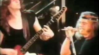 Lynyrd Skynyrd  Free Bird Music Video Synced WStudio Recording [upl. by Flodur]