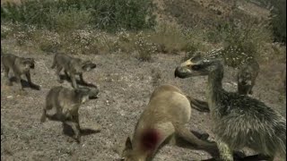 Wolves vs Terror Bird  Prehistoric Predators Episode 5 [upl. by Sivram]