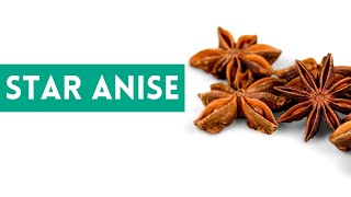 Star Anise  Anise Seed Health Benefits and Uses [upl. by Yetsirhc]