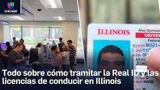 Respondemos dudas sobre Real ID y licencias de conducir en Illinois [upl. by Anhej]