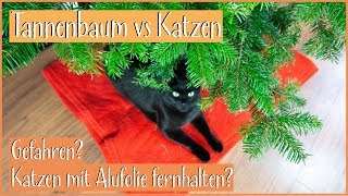 Vlog Tannenbaum vs Katzen Reaktion Baum katzensicher machen Alufolie und Mandarinen im Test [upl. by Nevsa208]