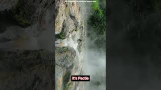 Physics of Boiling stream in Amazon Forest shorts [upl. by Asiak]