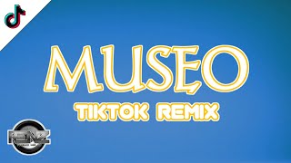 Museo  Eliza Maturan Tiktok Bomb Remix  DJ RENZ TMD [upl. by Neyugn524]