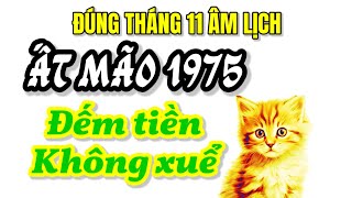 Tử Vi Tháng 11 Âm Thấy Ất Mão 1975 Đón Lộc Tổ Tiên Vận Đỏ Tràn Về Tiền Bạc Nhiều Đếm Không Xuểquot [upl. by Tacy811]