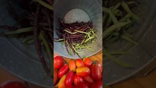 How to Preserve Purple Hull Peas in Less Than a Minute [upl. by Lissner]