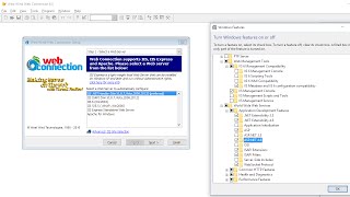 Web Connection Installation with IIS [upl. by Esirtal]