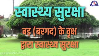 बरगद के वृक्ष द्वारा स्वास्थ्य सुरक्षा  Amazing Benefits of Banyan Tree  बरगद के फायदे क्या है [upl. by Mirielle]