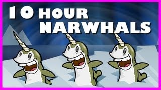 Narwhals  10 Hours [upl. by Bowers]