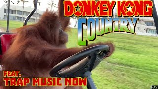 Orangutan driving golf cart to Donkey Kong Country [upl. by Sorazal]