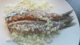 Dutch New Herring 2024  Hollandse Nieuwe 2024  Jan Tom Yam [upl. by Cumings613]