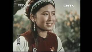 【 五朵金花 】华语故事片中英文字幕 看电影学中文Chinese Feature Film w CHN amp ENG Subtitles [upl. by Ziul]