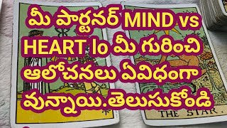 💯❤️మీ పార్టనర్ MIND vs HEART lo మీ గురించి ఆలోచనలు ఏవిధంగా వున్నాయితెలుసుకోండి [upl. by Nikolas624]