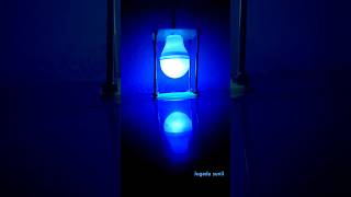 amazing light  night bulb [upl. by Bab]