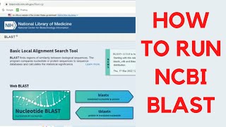 How to run NCBI blast  NCBI blast tutorial  How to perform or use blast practically [upl. by Labannah]