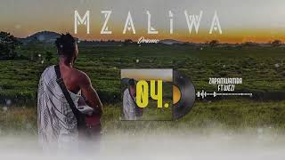 DRIEMO ft WEZI  Zapamwamba official audio Visualizer [upl. by Eahs]