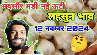 मंदसौर मंडी नई ऊटी लहसुन 12 नवम्बर 2024 new ooty garlic rate mandsaur mandsaurmandibhav [upl. by Solhcin]