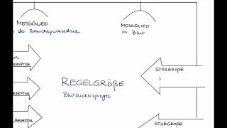 Regulation des Blutzuckerspiegels Regelkreis [upl. by Roi334]