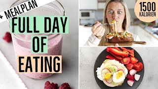 Food Diary  Kostenlose Ernährungspläne 💚 Full Day of Eating zum Abnehmen [upl. by Soisinoid]