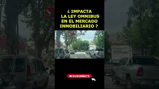 LEY OMNIBÚS Y MERCADO INMOBILIARIO  ¿ Impacta al mercado inmobiliario actual en Argentina [upl. by Madge42]