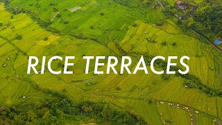 Rice Terraces in Bali Beautiful Aerial Drone Stock Video Footage of 4K [upl. by Ratib170]