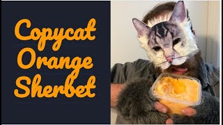 Copycat Orange Sherbet recipe  how to make Two ingredient orange sherbert  cutest kitty [upl. by Airym]