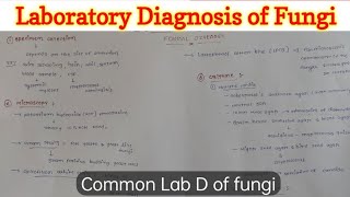 General Laboratory Diagnosis of Fungi  Microbiology [upl. by Siravaj]